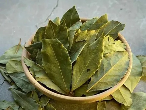 تصویر 5 از فروش اسانس اکالیپتوس خوراکی + قیمت خرید به صرفه